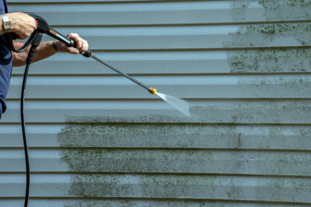 Best Gutter Cleaning  in Terrell, TX