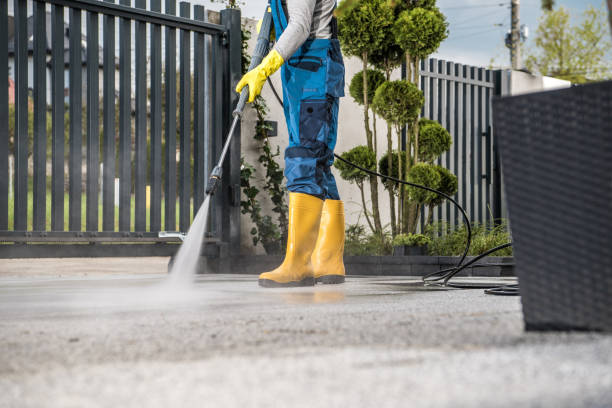 Best Sidewalk and Walkway Cleaning  in Terrell, TX